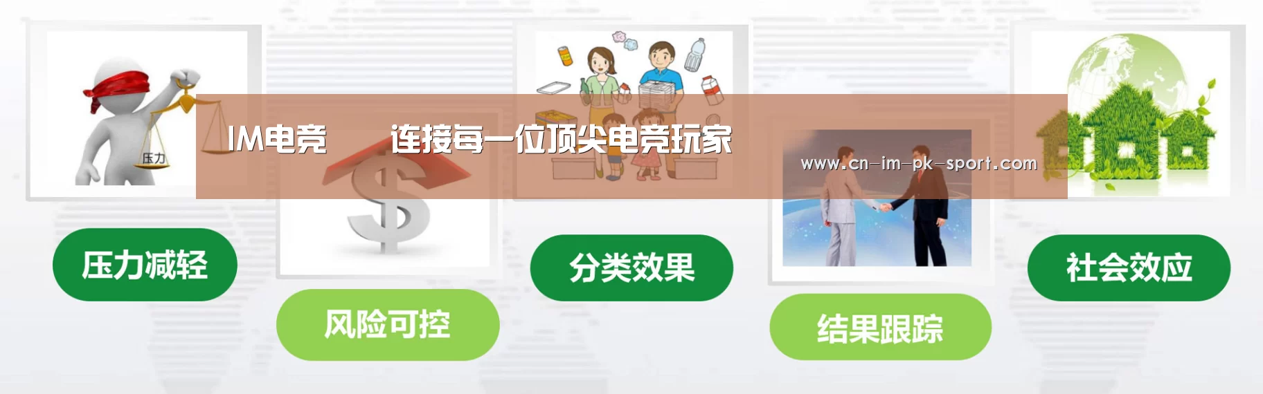im电竞公司