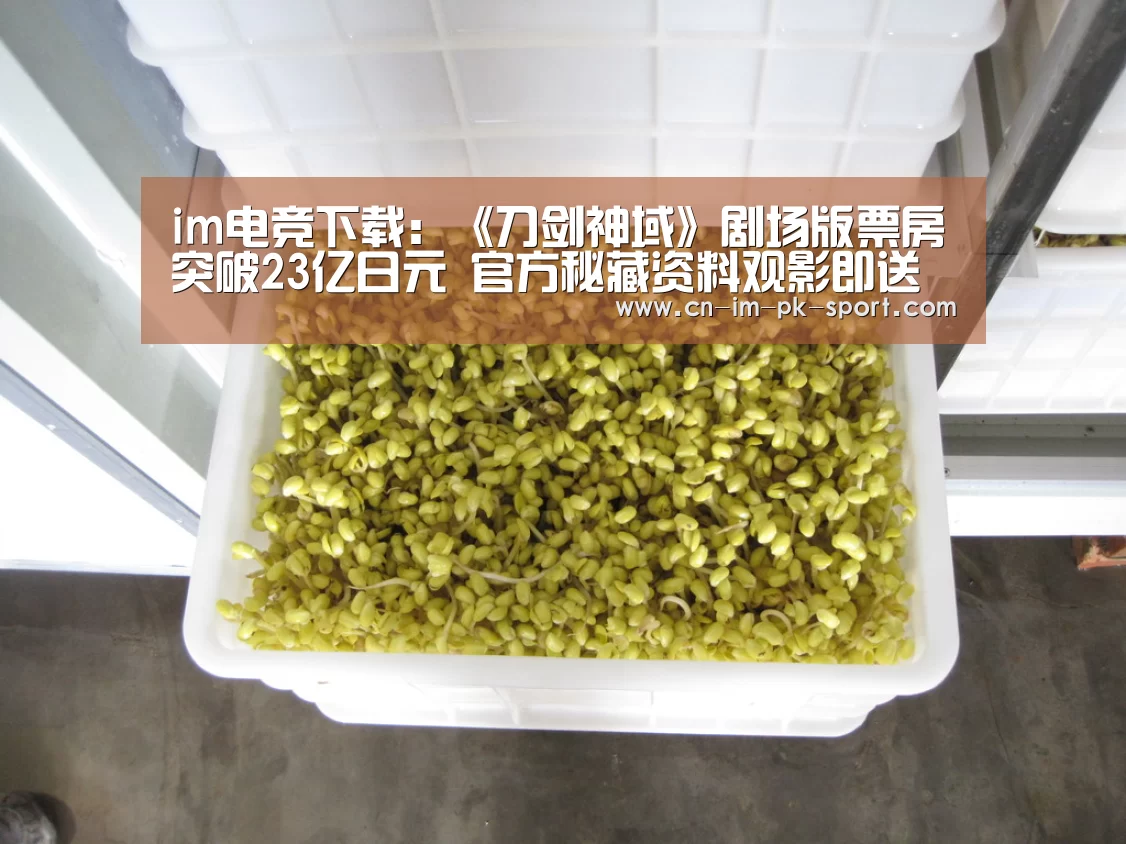im电竞下载:《刀剑神域》剧场版票房突破23亿日元 官方秘藏资料观影即送(图3) im电竞下载