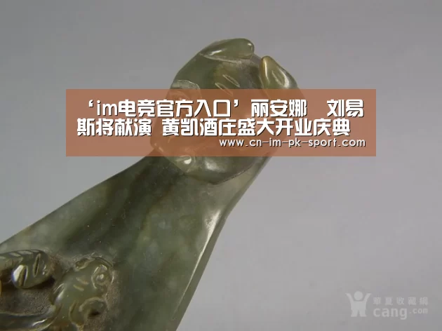 ‘im电竞官方入口’丽安娜•刘易斯将献演 黄凯酒庄盛大开业庆典(图2) im体育